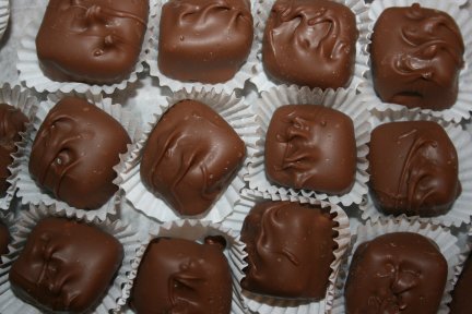 Tortoise (Pecans and Caramel)